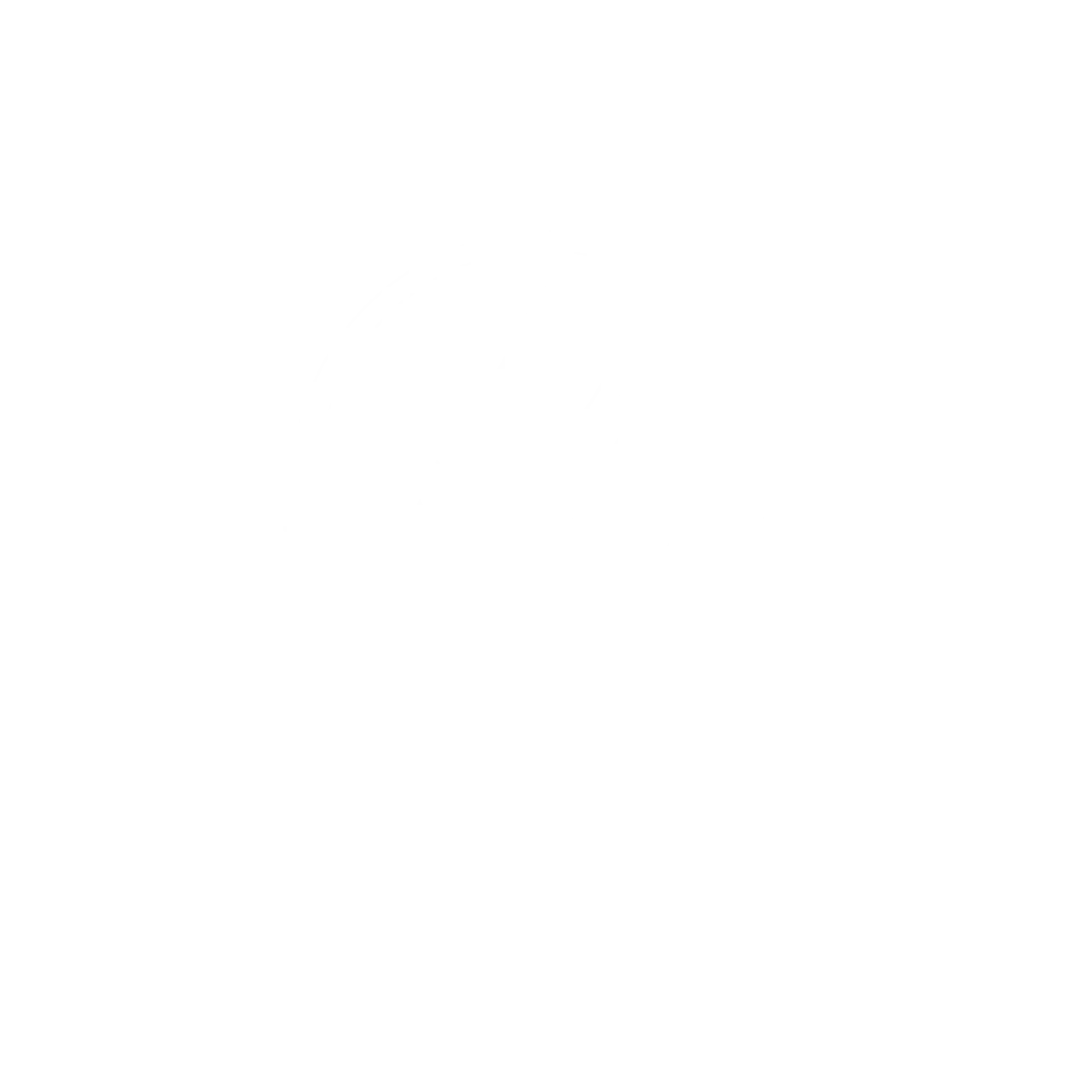Earthed Store
